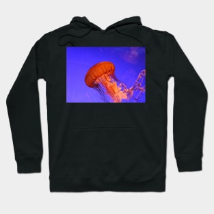 JELLYFISH GLOWING IN THE BLUE OCEAN DESIGN Hoodie